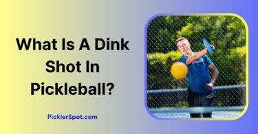 What Is A Dink Shot In Pickleball