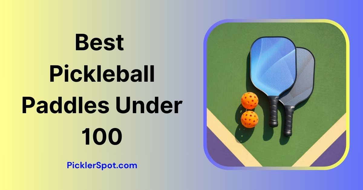 7 Best Pickleball Paddles Under 100 [2024 List] PicklerSpot