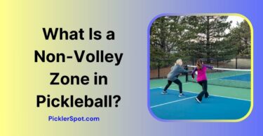 What Is a Non-Volley Zone in Pickleball